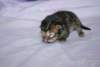 Photo Number 13
