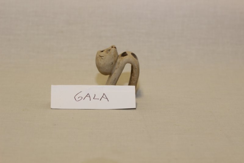 gala0.jpg