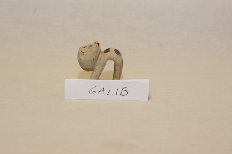 galib0.jpg