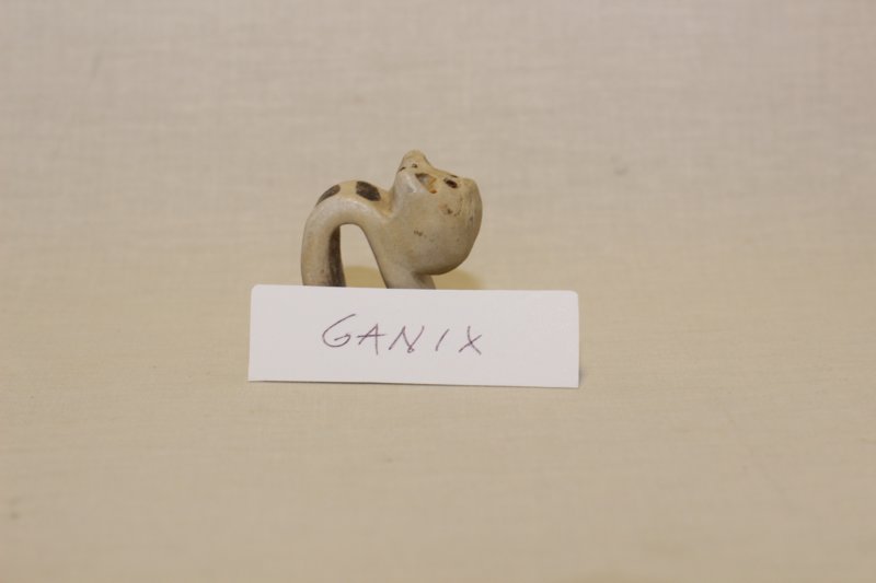 ganix0.jpg