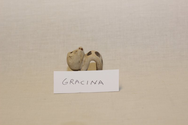gracina1.jpg