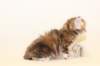 gracina22_small.jpg