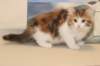 gabby95viikkoa161214_small.jpg