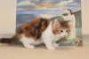 gabby95viikkoa161215_small.jpg