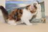 gabby95viikkoa161217_small.jpg