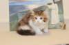 gabby95viikkoa16126_small.jpg