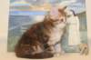 gracina95vi161214_small.jpg
