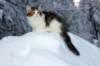 giuseppe125viikkoa9127_small.jpg
