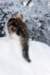 giuseppe125viikkoa9129_small.jpg