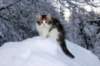giuseppe125viikkoa9130_small.jpg