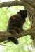 img_0466_small.jpg