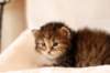 hannagirlf234_small.jpg