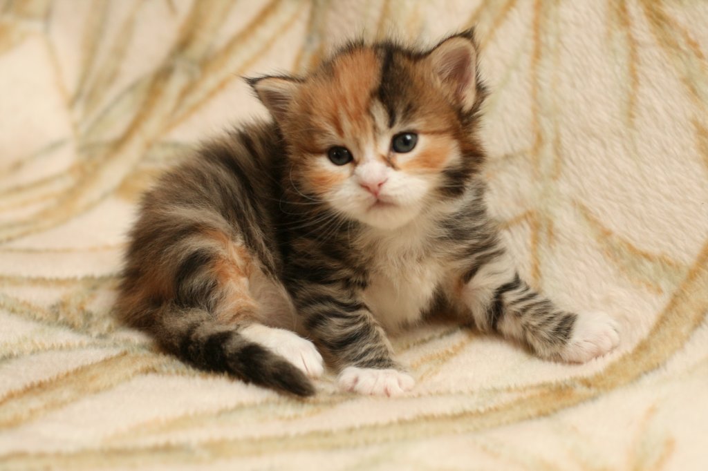 huldagirl4weeks23.jpg