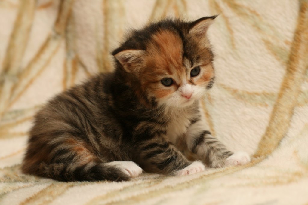 huldagirl4weeks31.jpg