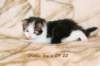 hubbaboyn0922img_5589_small.jpg