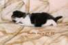 hubbaboyn0922img_5591_small.jpg