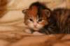 huldagirlf0923img_5259_small.jpg