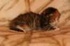 huldagirlf0923img_5279_small.jpg