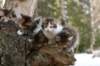 img_7843_small.jpg
