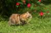 img_5786_small.jpg