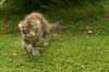 img_5800_small.jpg