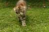 img_5801_small.jpg