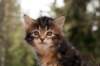 img_8692_small.jpg