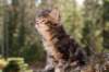 img_8721_small.jpg
