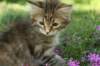 img_1029_small.jpg