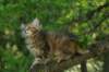 img_1371_small.jpg