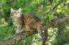 img_1386_small.jpg
