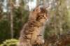 img_8519_small.jpg