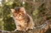 img_8569_small.jpg