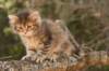 img_8611_small.jpg