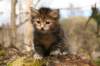 img_7351_small.jpg