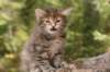 img_7594_small.jpg