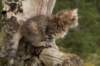 img_9780_small.jpg