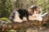 hoosea7weeks452013_small.jpg