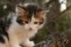 img_8832_small.jpg