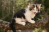 hubba7weeks452013_small.jpg