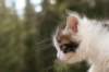 img_8847_small.jpg