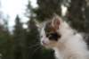 img_8870_small.jpg