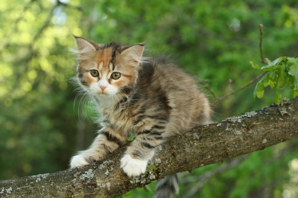 hulda10weeks.jpg