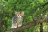 img_1182_small.jpg