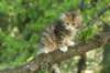 img_1185_small.jpg