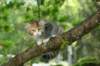 img_1266_small.jpg