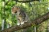 img_1268_small.jpg