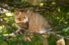 img_3112_small.jpg