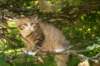 img_3114_small.jpg