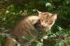 img_3115_small.jpg